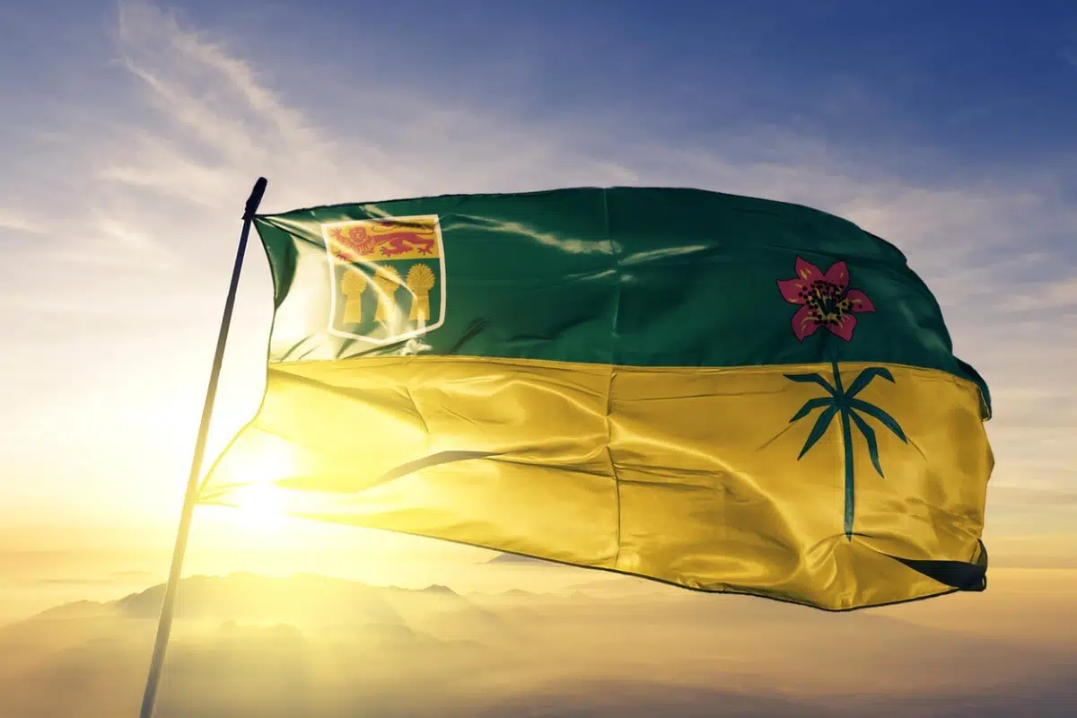 What is the Saskatchewan Provincial Nominee Program?