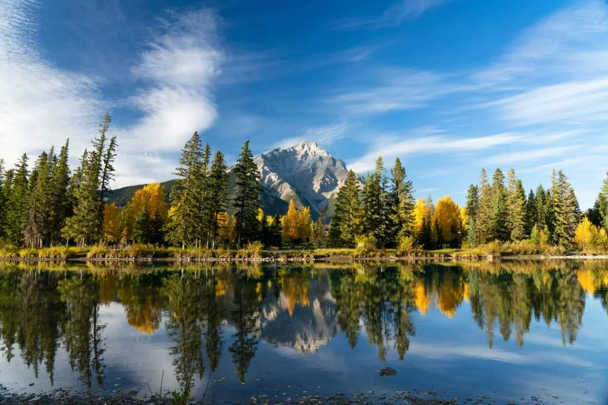 Ontario, British Columbia, and Manitoba invite candidates to apply for provincial nomination