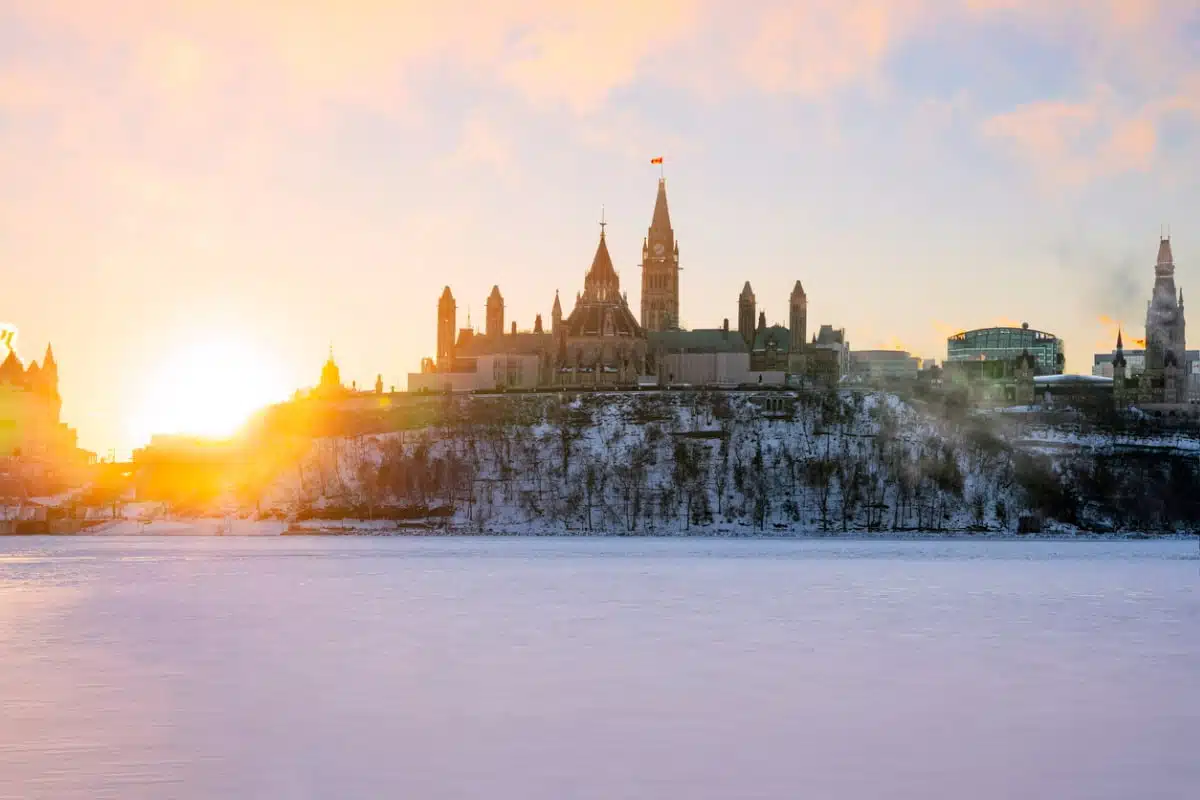 Getting to know IRCC’s decision-making committees